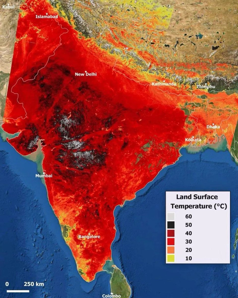 assamtribuneoff's tweet photo. As the world experiences soaring temperatures and heatwaves become the new normal, more and more evidence is confirming that 2023 was one of the hottest years on record, and 2024 is on a similar path. 
 
#TheAssamTribune #Summer #hottestsummer https://t.co/EY9F6qaEvc