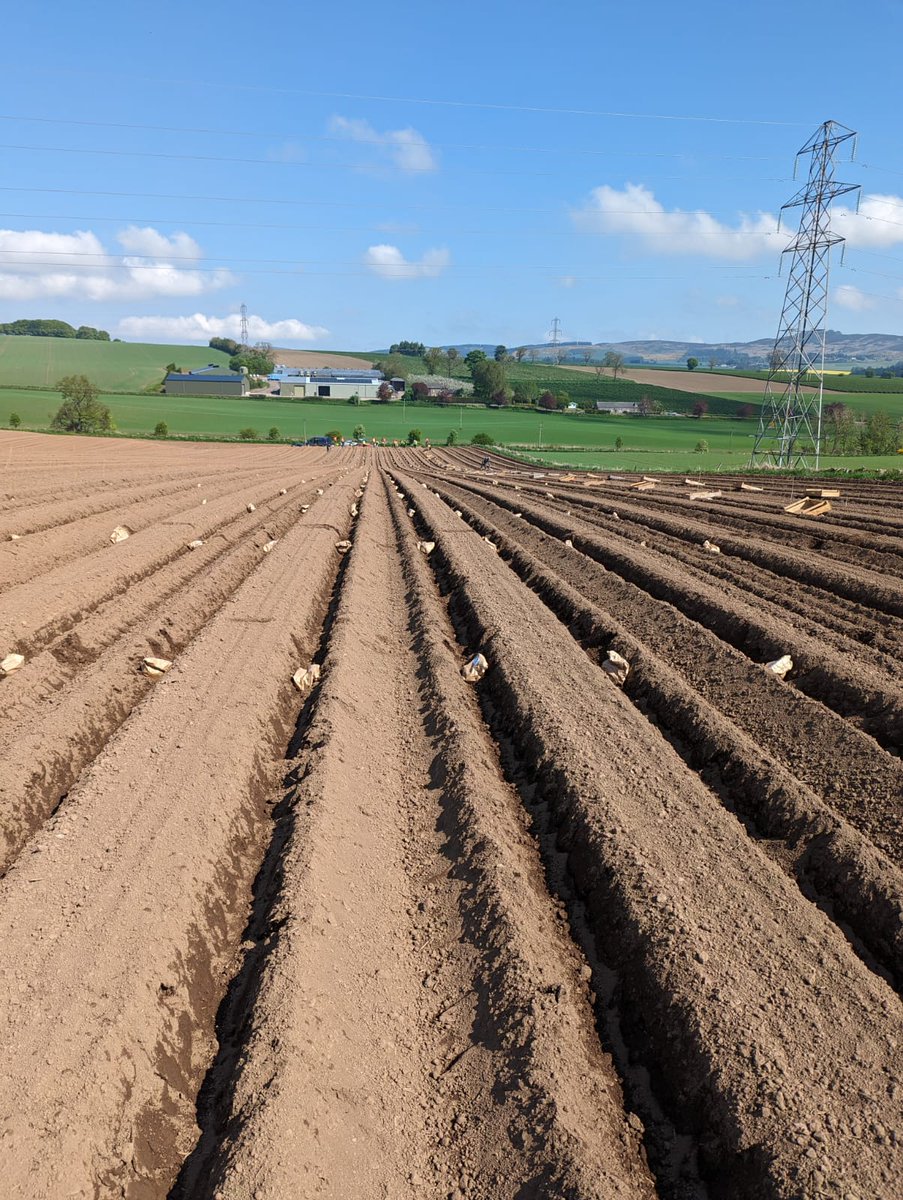 @JamesHuttonLtd @JamesHuttonInst commercial seed trials finally getting planted after bad spells of weather