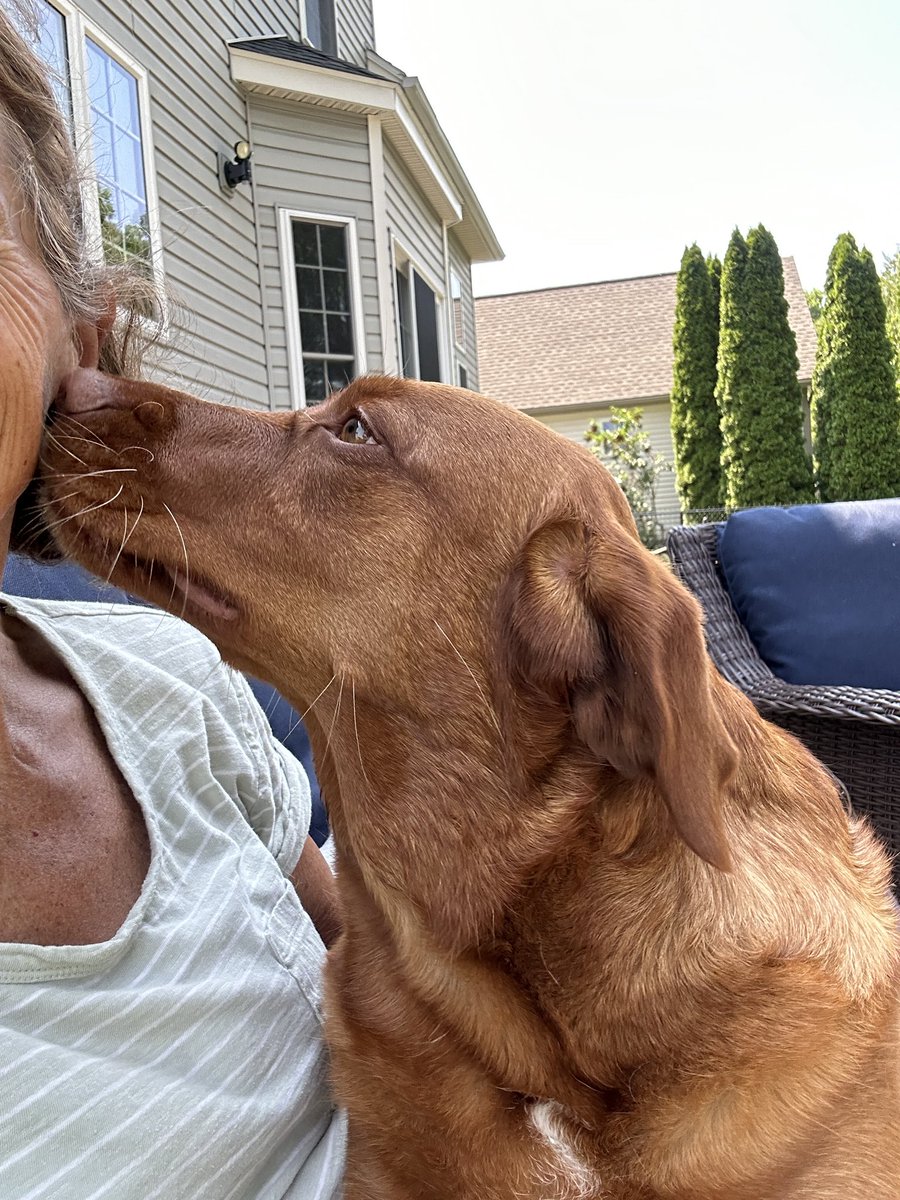 Won’t look Wednesday iz giving grandmie kisses. Have a wonderful day ❤️🐾