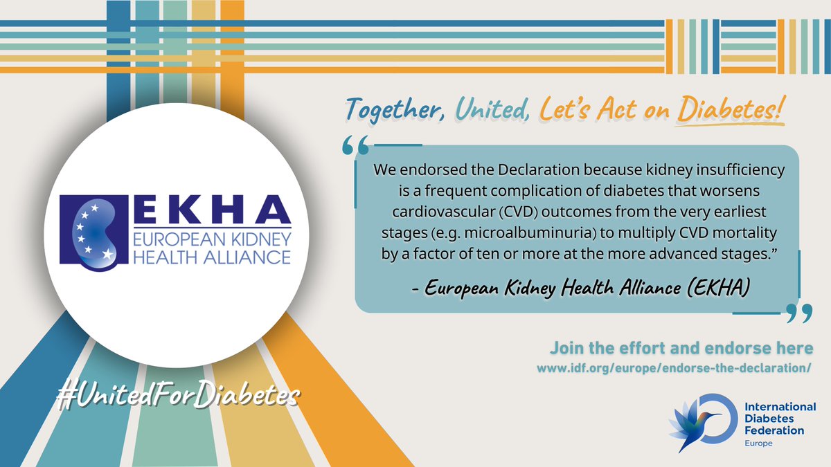 EKHA endorses @IDFEuropeBXL Declaration on improving the detection of #diabetes and quality of #care➡️bit.ly/4dCyXVw

💡Diabetes & #kidneydisease are closely linked: improving #diabetes detection and care improves outcomes for patients with #CKD!

#UnitedForDiabetes