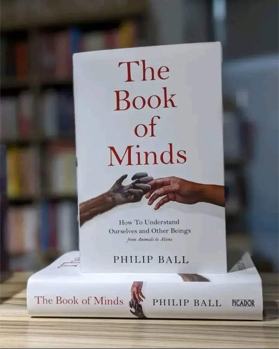 Kitabu kama hiki naweza kukipata kwenye bookshop ipi hapa Dar Es Salaam? <a href="/JabirSaleh/">JABIR SALEH (Zee la kujibrand)/Zee la kutrendi</a> <a href="/bajabiri/">The SPECIAL ONE ™️</a> <a href="/masoudkipanya/">Masoud Kipanya</a>