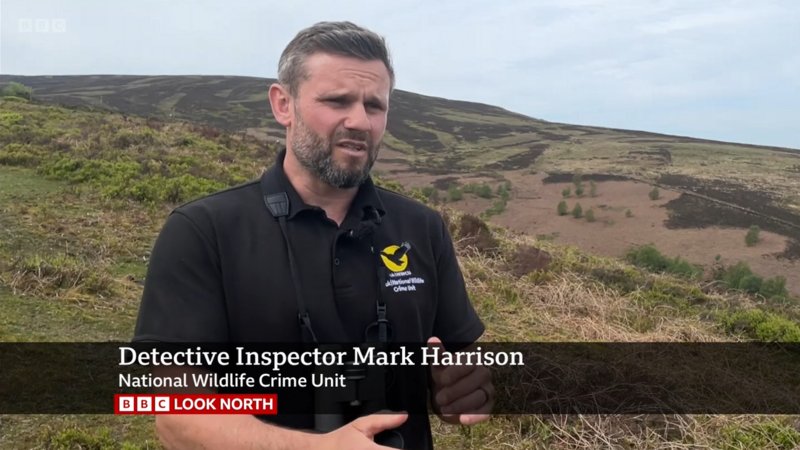 Launch of the #HenHarrierTaskForce led by D.I Mark Harrison of Police National #WildlifeCrime Unit Purpose; to determine & disrupt offenders illegally killing the #HenHarrier using the analysis of police data & hotspot mapping. Watch BBC tinyurl.com/ye2hszry at 14 min 58 secs