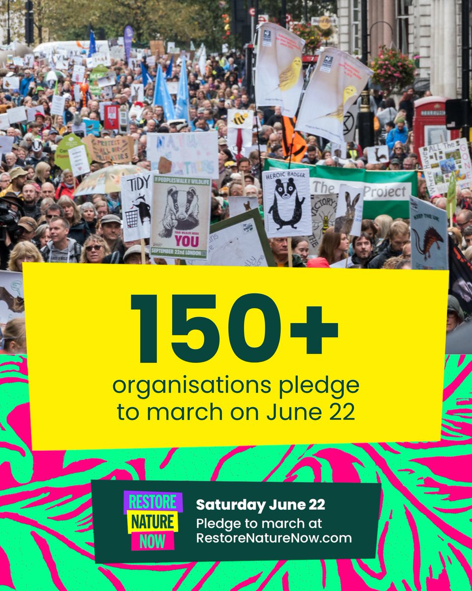 Are you angry at the terrible state of UK nature? Join us & 150+ nature & climate groups for a peaceful march in London on 22 June to deliver one clear message to politicians... 📢#RESTORENATURENOW Help create a positive future for nature🌊 Sign up👇 restorenaturenow.com