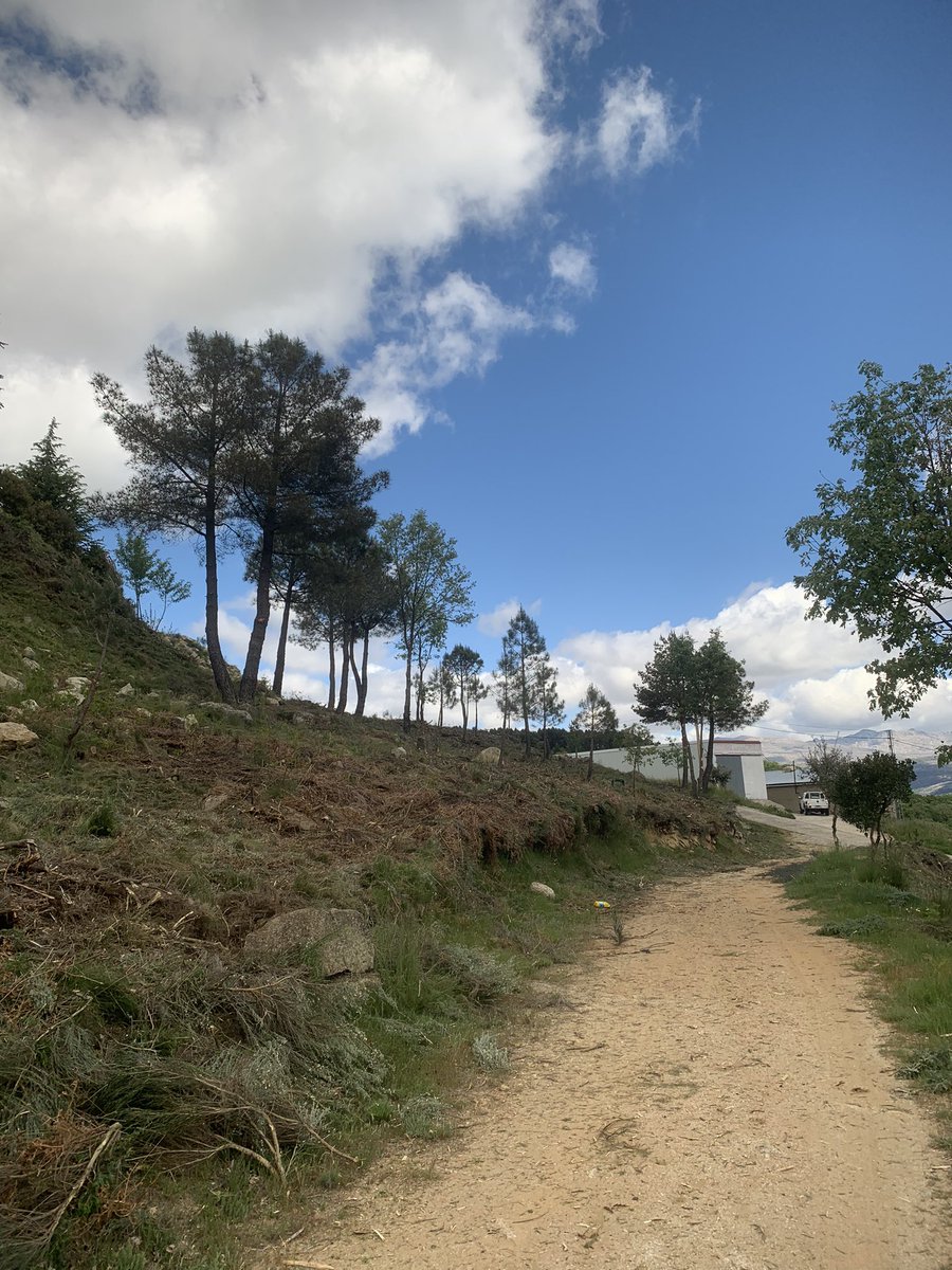 brifpuertopico's tweet photo. Seguimos trabajando en #Serranillos , #Avila en la carretera de entrada al Campo Municipal Cerrito la Zorra  ⚽️⚽️, trabajos enfocados en prevención de incendios de Interfaz . @EstadioBernabeu rural , #BRIF últimos días de prevención , pronto estaremos en Base 🚁🧑‍🚒🧑‍🚒🧑‍🚒🧑‍🚒🧑‍🚒🧑‍🚒🧑‍🚒 https://t.co/i7hYFlBnTT