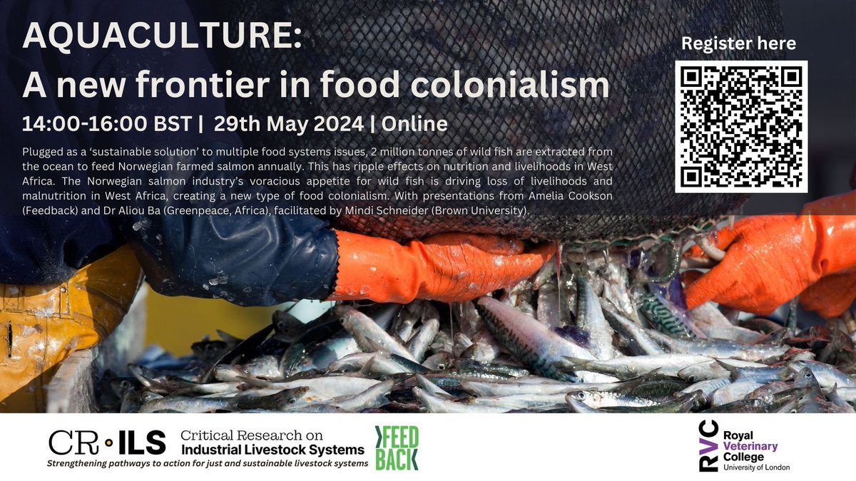 🐟Upcoming Online Workshop: Aquaculture: A new frontier in food colonialism 29 May 24 | 14:00-16:00 BST Amelia Cookson (@feedbackorg) & Dr Aliou Ba (@Greenpeaceafric) explore the ethical and environmental impacts of the Norwegian salmon farming industry #aquaculture #foodsystems