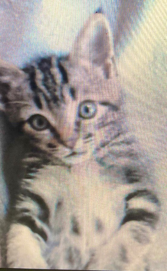 veltrv's tweet image. 17 ans séparent ces 2 photos 🥰