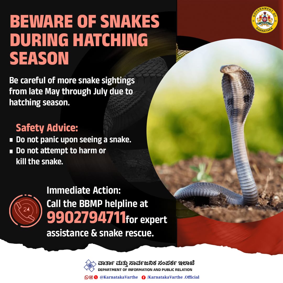 Caution: Snake Hatching Season Alert! Expect more snake sightings from late May through July. Stay calm and do not harm the snakes. For quick and safe rescue, call BBMP at 9902794711. Keep these tips in mind for your safety. #snakes