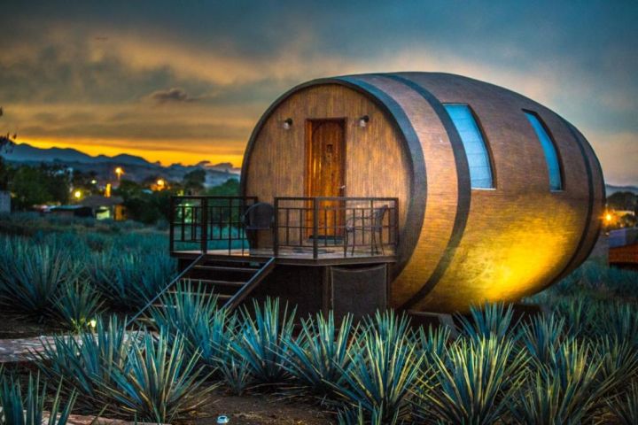 You Can Sleep Inside a Tequila Barrel in the 🏠 of Tequila 🍹 dlvr.it/T6vzKH