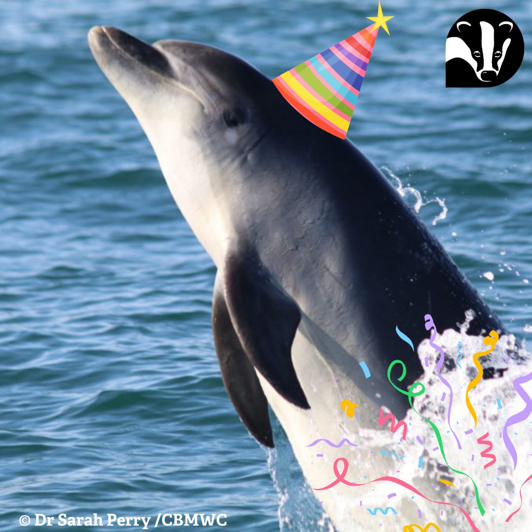 🥳 Channel your inner party animal for The @WildlifeTrusts 

We're proud to be one of 46 Wildlife Trusts across the UK! 💙 Collectively, we have been working to boost biodiversity and connect people with nature for over 100 years! 🧑‍🤝‍🧑🐬

@WTSWW @WTWales