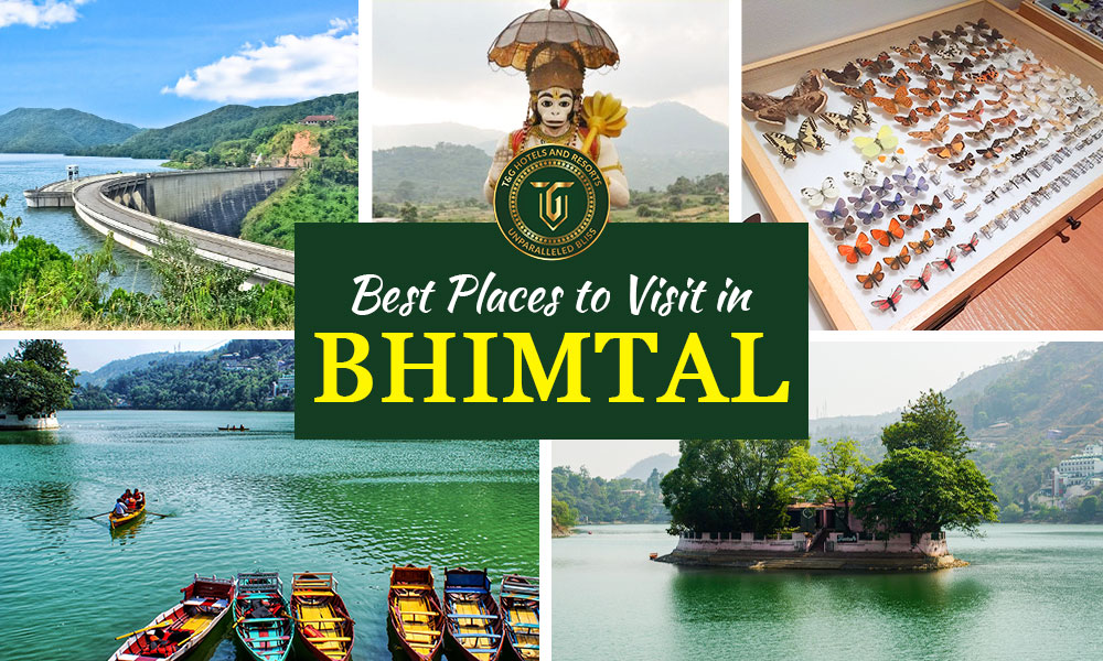 Best Places To Visit in Bhimtal
Bhimtal, nestled in the Indian state of Uttarakhand, charms visitors with its scenic beauty. 

💁‍♂️ Read More: bit.ly/44H0kd4

#tandghotelsandresorts #stayinbhimtal #royalrosette #bhimtal #bhimtallake #hanumangarhitemple #hidimbaparvat