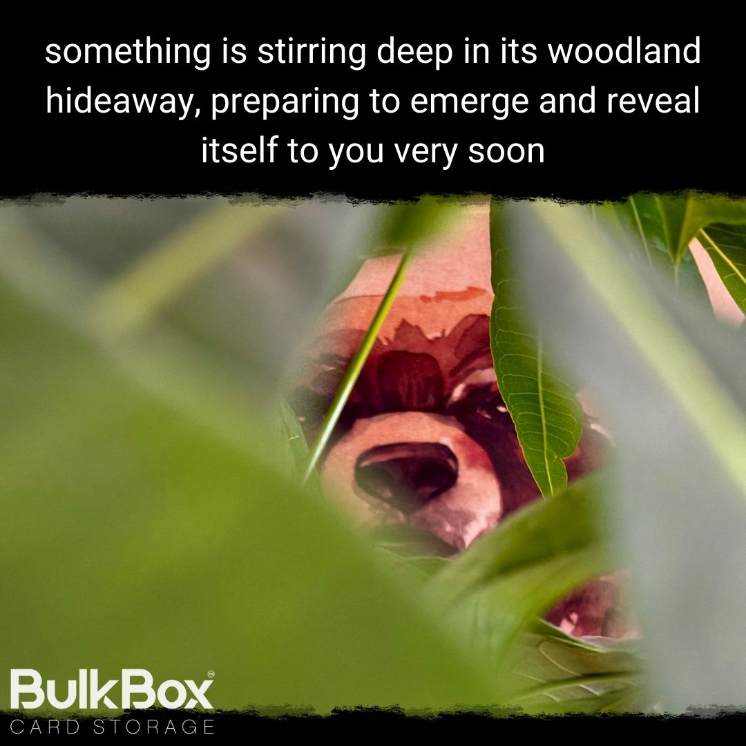 whats that, peeking through the trees...
-
-
#BukBox #BulkBoxCradStorage #BoxwiththeBear #tcgaccessories #fsccertified #sustainablymade #sustainableproduct #sustainablysourced #ecolifestyle #tcgcommunity