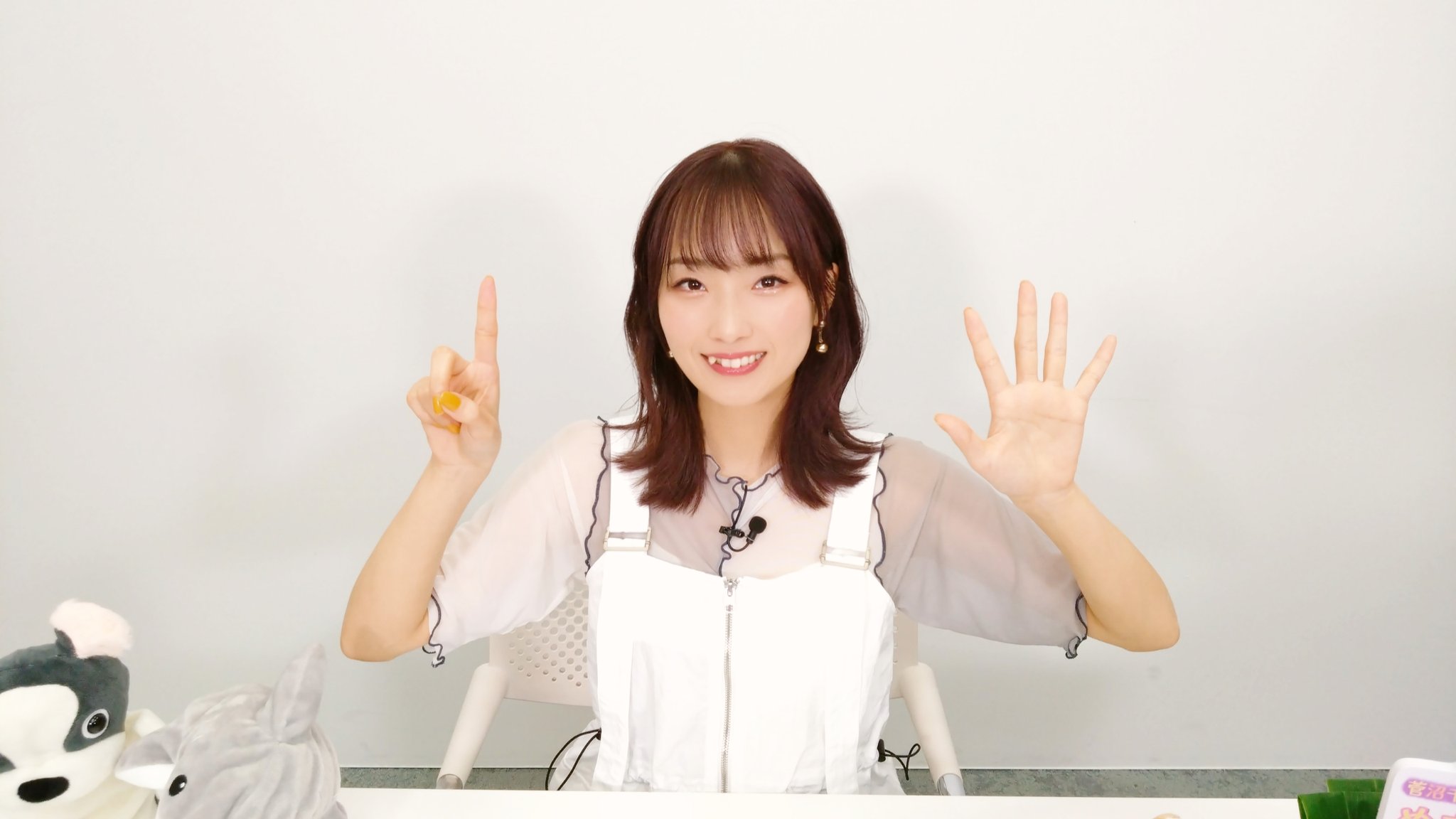 菅沼千紗 ブロマイド サイン 好好運動会 菅沼千紗の魅力落ちる旅DVD~沖縄編