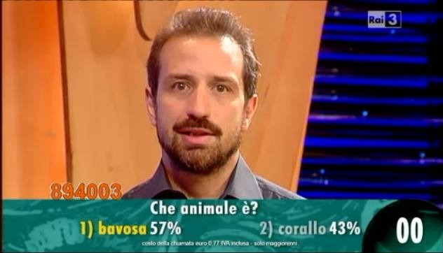 Devo ammettere che a me andò di lusso, rispetto all'odierno sottopancia toccato in sorte al collega dell'Aeronautica, ce posso decisamente stà.