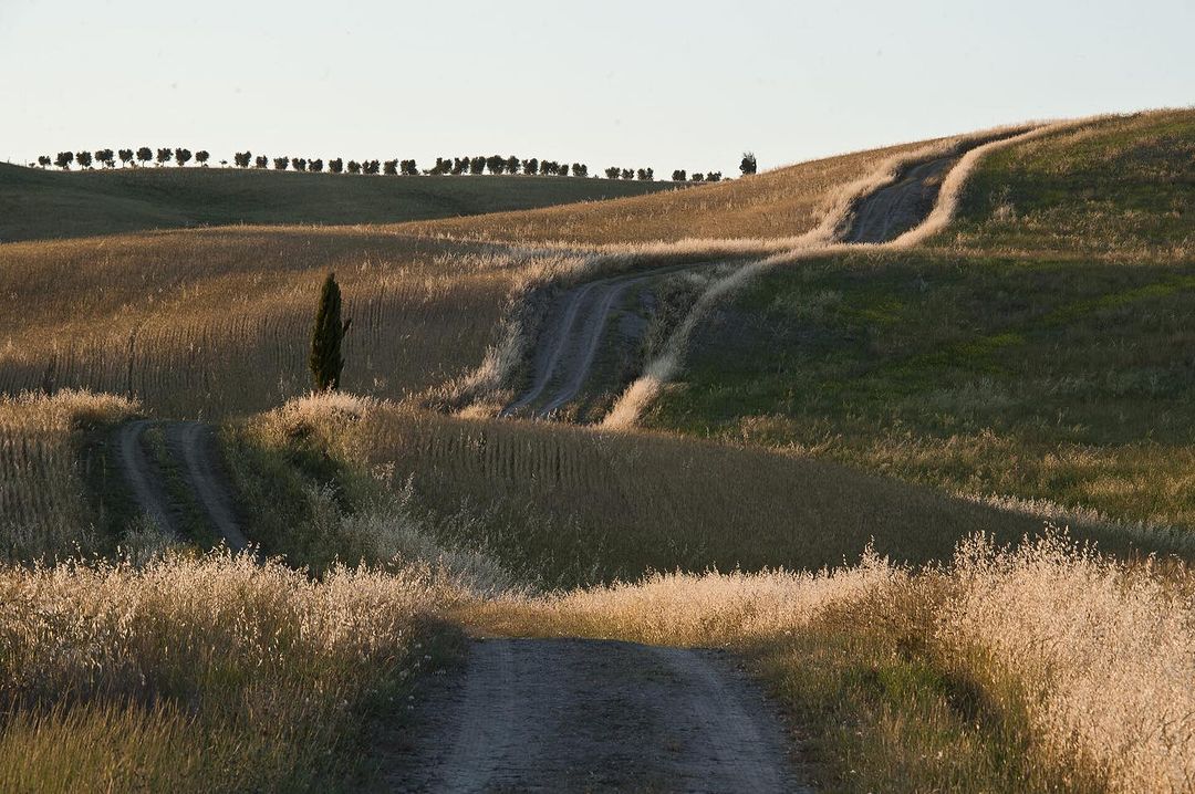 Il 19 maggio da #SanQuiricodOrcia parte 'La Scarpinata', una manifestazione con tre percorsi di diversa lunghezza per camminare lungo la #ViaFrancigena in #ValdOrcia. Info 👉 bit.ly/Scarpinata-SQD… 📸 IG visitsanquirico