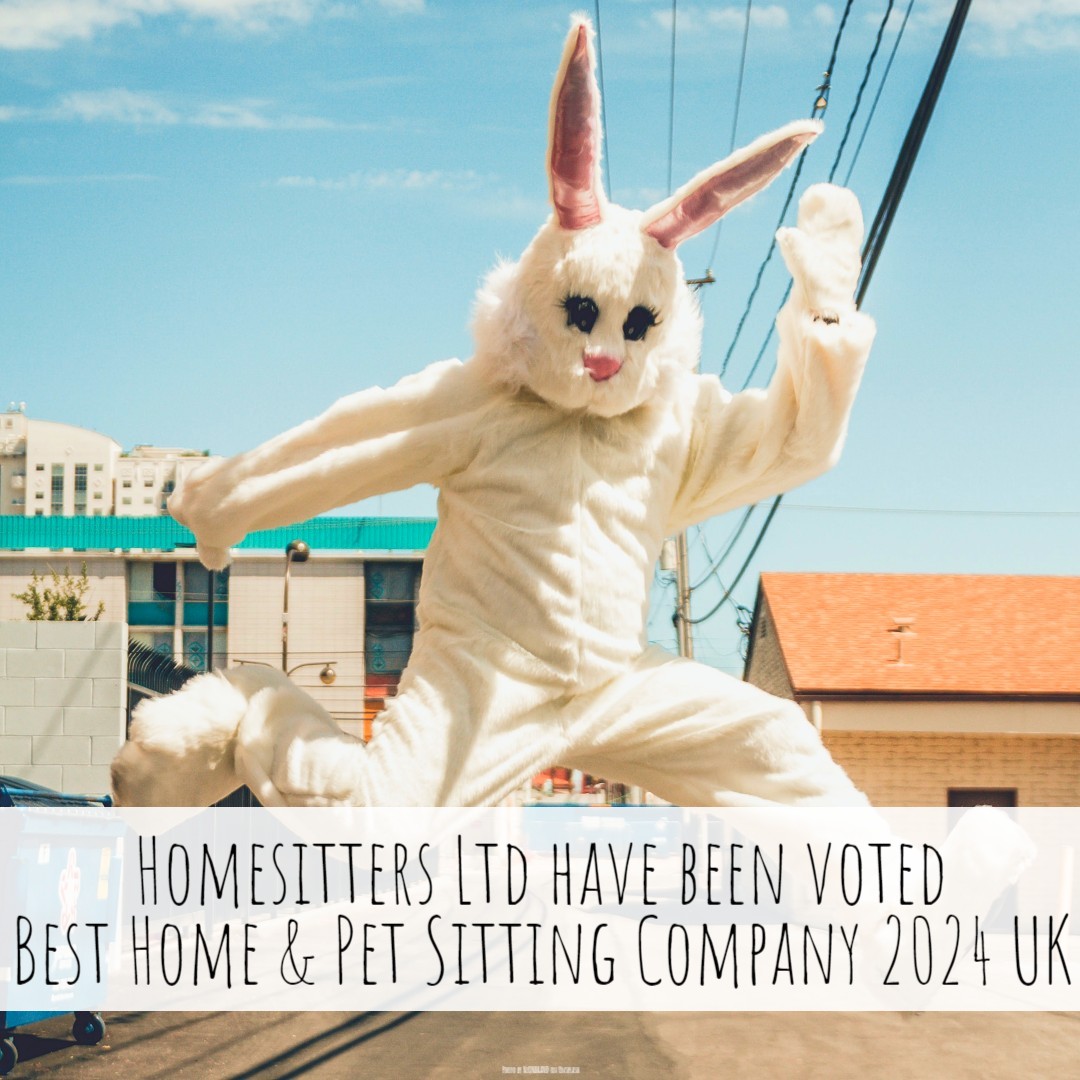 SME News bring back their Business Elite Awards for 2024 & recognise Homesitters Limited with the title: Best Home & Pet Sitting Company 2024 UK. Thank you to all who've made this possible! #homesittersltd #SMENews #BusinessEliteAwards2024 #Award #BestHomeAndPetSittingCompany