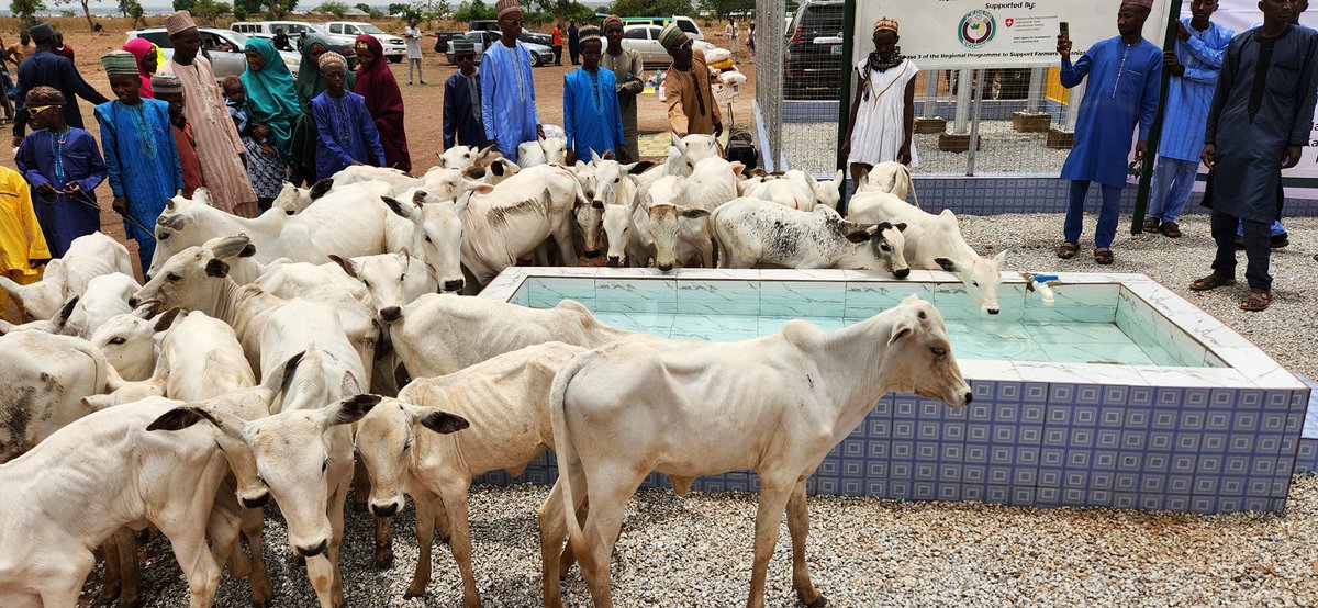 Un pas significatif vers l’employabilité des jeunes au Nigeria : la CEDEAO inaugure un projet de forage pour la coopérative laitière Luumo Kosam à Chukun, à Kaduna, au Nigeria...ecowas.int/un-pas-signifi…