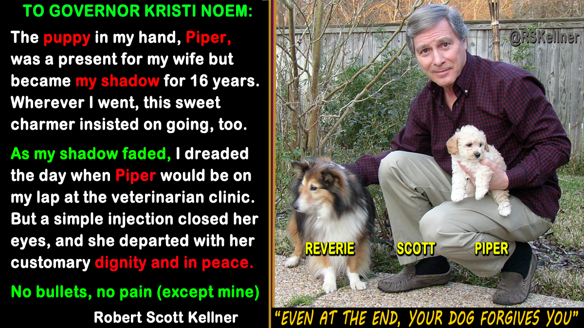 Dear #KristiNoem: I'm not at odds with you as a #governor. But you need some advice from a #hunter: SAVE YOUR BULLETS for #SouthDakota #MountainLions LUNGING AT YOUR THROAT. Your #veterinarian will dispatch your unruly #puppies and #goats GENTLY into the Great Unknown.