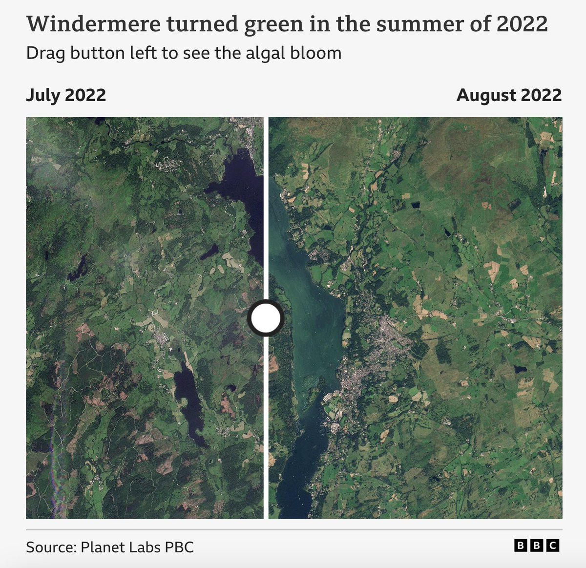 In recent summers, algal bloom turned the Windermere water green and potentially toxic - partly caused by both treated and untreated sewage 🤮 Source: bbc.co.uk/news/articles/…