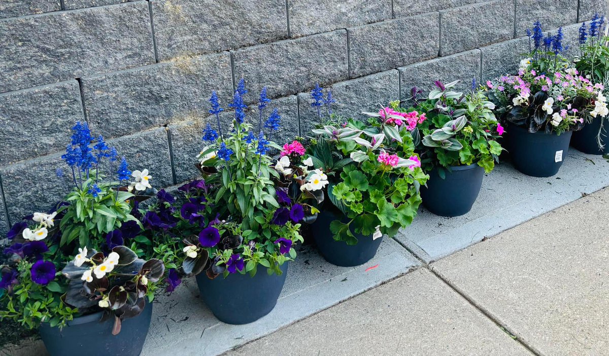 Did you know that Cheer Up! does a monthly Random Act of Cheer? For May, we got a half dozen lovely patio pots to give away. If you know a person who needs a little cheer, shoot us a private message. Help spread a little joy! #CheerUp #Randomactofcheer #flowers #plants
