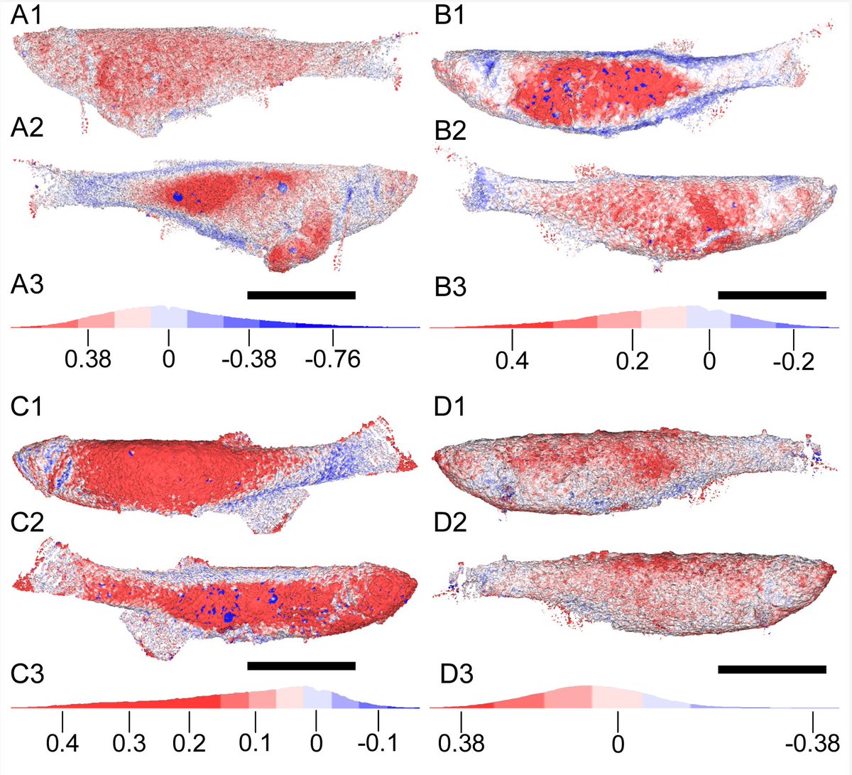 Jake Atterby (@jake_atterby) on Twitter photo Woah! Is that a second preprint?!?
This is a pioneering and quite yucky taphonomy study I contributed to, led by Iacopo Cavicchini and <a href="/Thomas_Clements/">Dr Thomas Clements</a>, in which rotting zebrafish were CT scanned at multiple stages of decay.
biorxiv.org/content/10.110… Woah! Is that a second preprint?!?
This is a pioneering and quite yucky taphonomy study I contributed to, led by Iacopo Cavicchini and <a href="/Thomas_Clements/">Dr Thomas Clements</a>, in which rotting zebrafish were CT scanned at multiple stages of decay.
biorxiv.org/content/10.110…