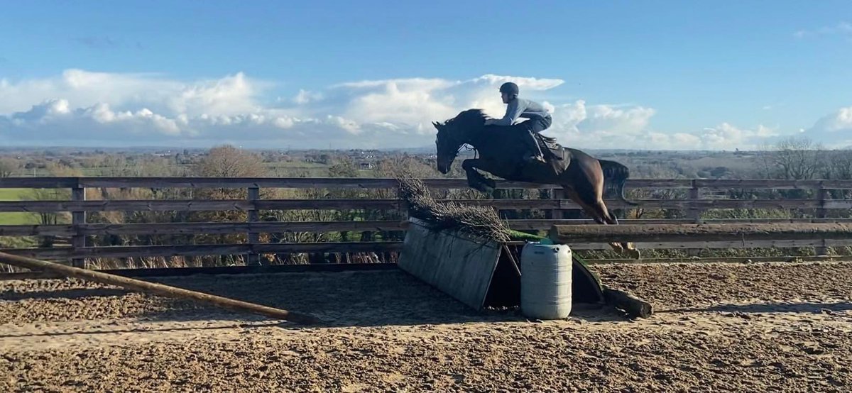 🐎We’re looking for another RIDER to join us at our family run pre-training/racing yard in Ballybreagh, Richhill, Co. Armagh. 
🐎Previous racing experience preferred but not essential 
🐎Must ride well
🐎6 mornings a week + 1 weekend a month
💷Competitive wages
📞Ross 07779248613