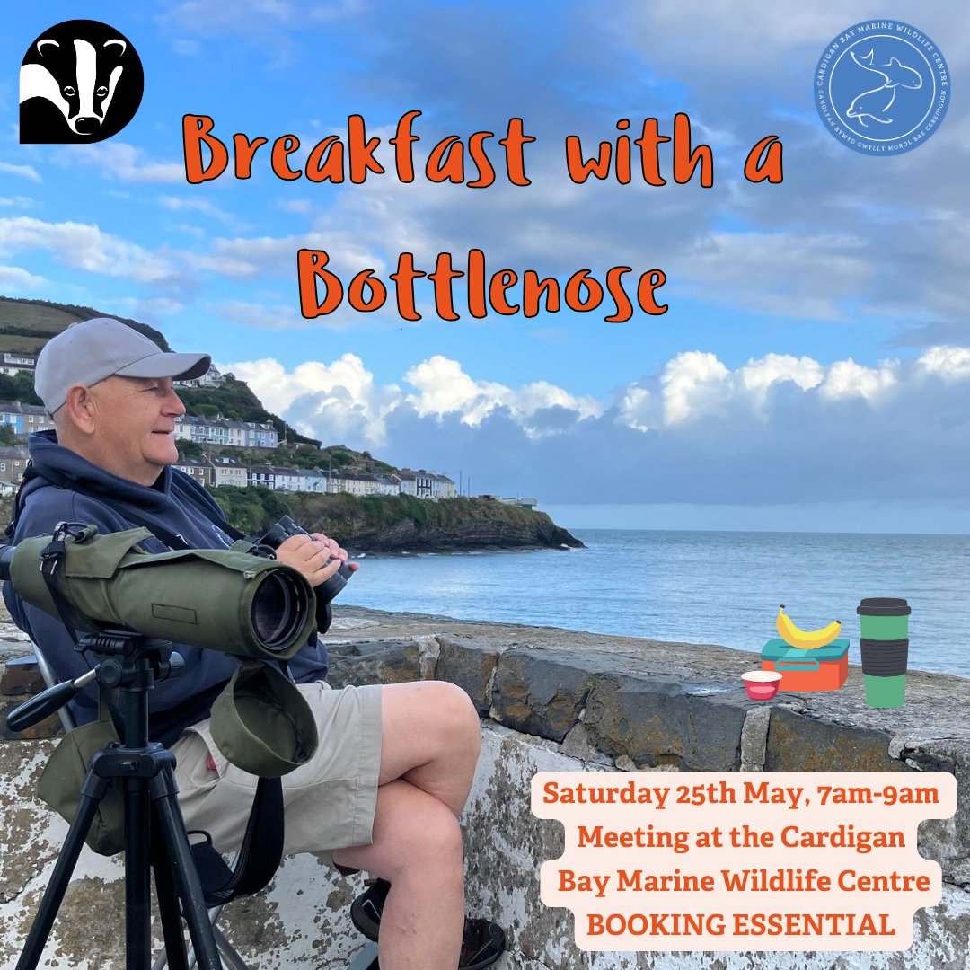 Join us for our 'Breakfast with a Bottlenose' event 🌊💙  Sat 25th May, 7am-9am 📅  

👀 We'll be looking out for bottlenose dolphins, harbour porpoise, Atlantic grey seals and seabirds🐬🐧 

BOOKING ESSENTIAL 👉 ow.ly/A3JE50RGShP

@WTSWW @WTWales