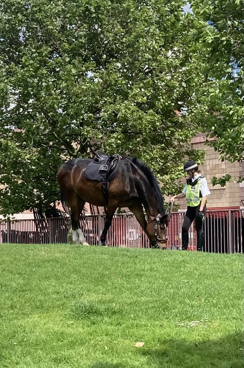 Lunch ⁦@metpoliceuk⁩