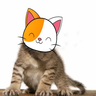 Onigiri Kitty tweet media