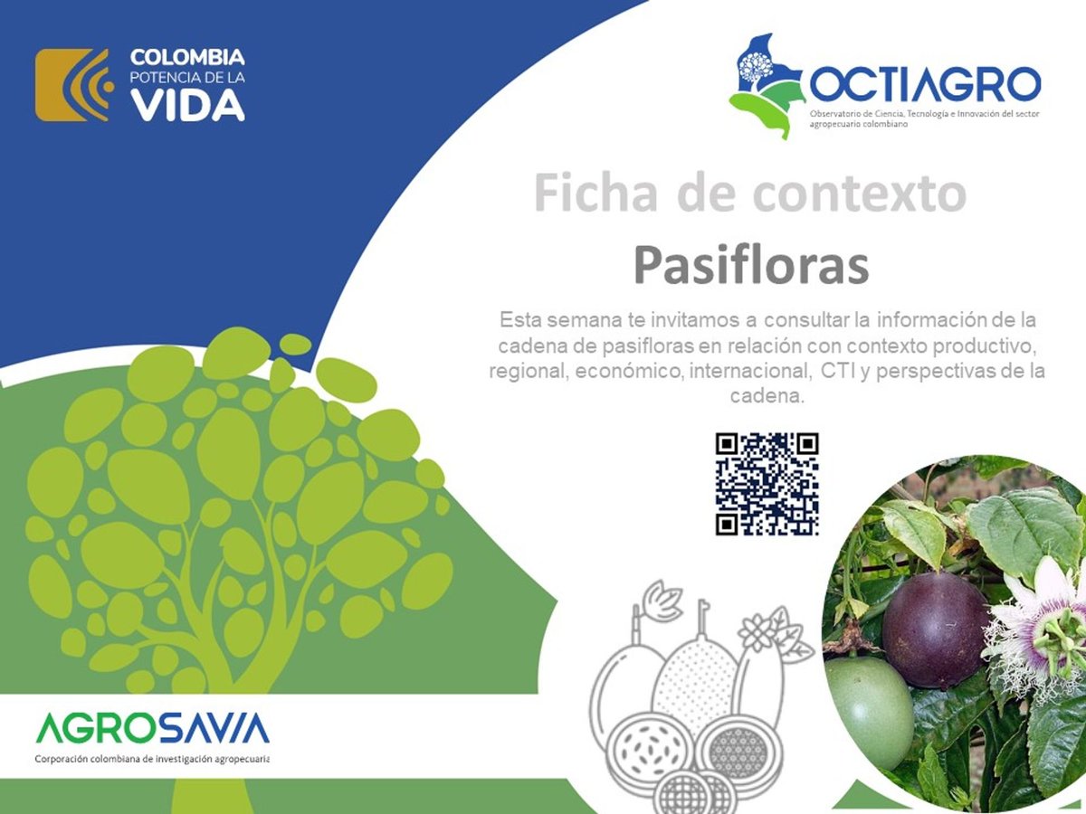 ATALinkata's tweet photo. 🌾🚀 Extensionistas agropecuarios, la cadena productiva de pasifloras es clave en el sector agropecuario.
🔬 Descubre en la ficha del OCTIAGRO los avances en ciencia y tecnología para las pasifloras aquí https://t.co/kGWEab80rX
#OCTIAGRO #CienciaAgropecuaria #Linkata https://t.co/3dQ4g1xsIn