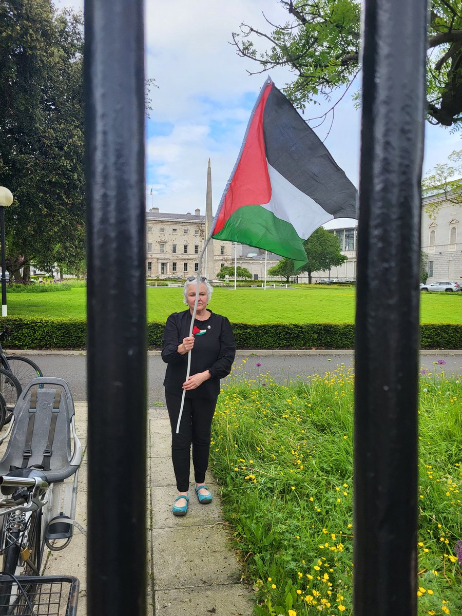 For 2 years 🇺🇦 has flown outside Leinster House in solidarity with Ukrainian ppl Last wk the Oireachtas refused @bridsmithTD's request to fly 🇵🇸 for the 76th anniversary of the Nakba Today Bríd flew it anyway, to reflect massive support of Irish people for Palestine #NakbaDay