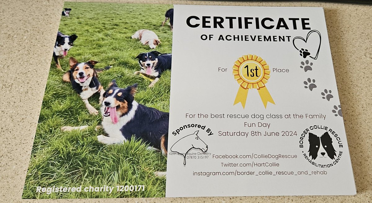 🏅THANK YOU🏅to Rachel Davis For creating and printing these lovely certificates for our Dog Show on the 8th June 2024 at Scolton manor in Pembrokeshire, they are super nice 😀