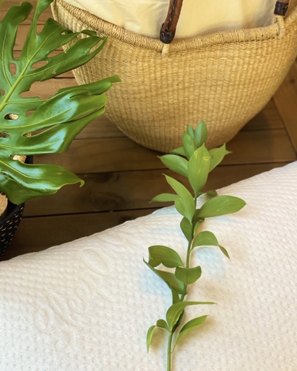 Our pillows are designed to cater to the diverse needs of every type of sleeper. @miamiironside #hypoallergenic #green #health #sleep #allnatural #chemicalfree #inspiration #healthyliving #comfortable #healthyliving #natural #ecofriendly #biodegradable #madeinusas