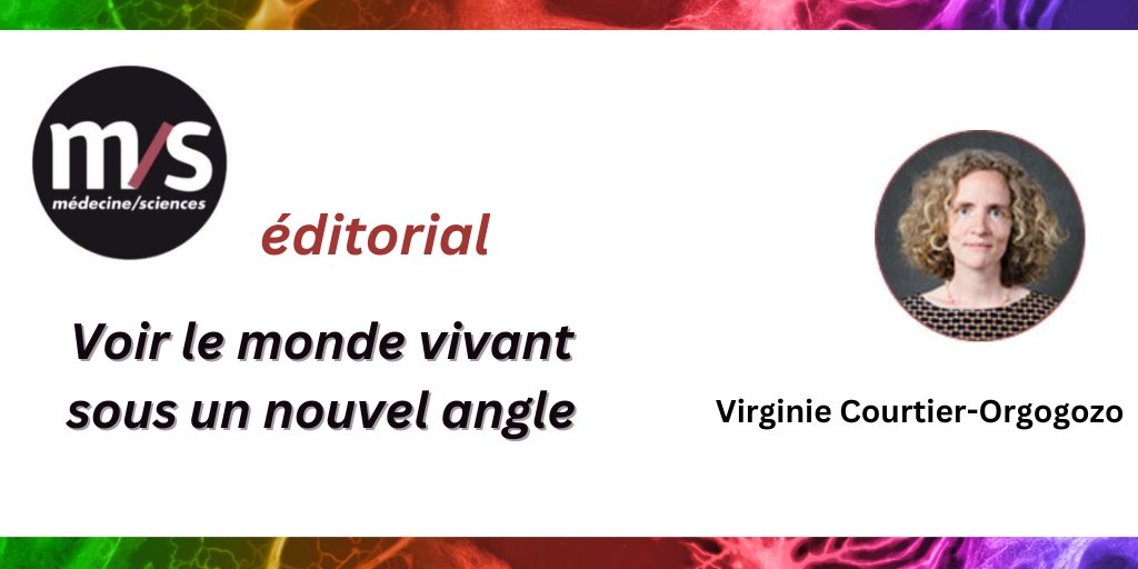 Dans son éditorial, Virginie Courtier-Orgogozo propose de changer de regard sur le monde vivant et de quitter la vision mécaniste de l'ingénieur pour mieux affronter les grands défis de ce XXIème siècle. En sommes-nous capables ? bit.ly/4aqPxol #openaccess @IJMonod