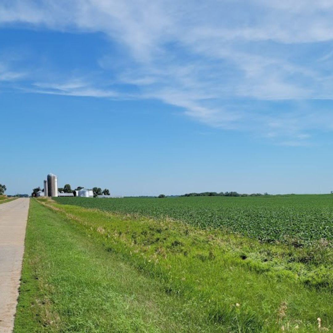 The country life 🌾 The endless horizon, the peaceful sway of the grass with the wind, and that sense of tranquility... This is a sight to behold. #IowaBeauty #OpenFields #NatureLovers