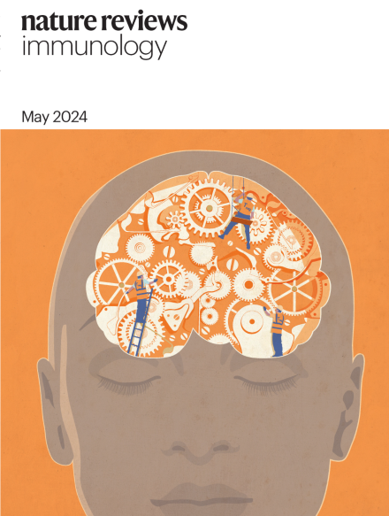 Our brain Treg review on the cover of @NatRevImmunol! nature.com/articles/s4157…