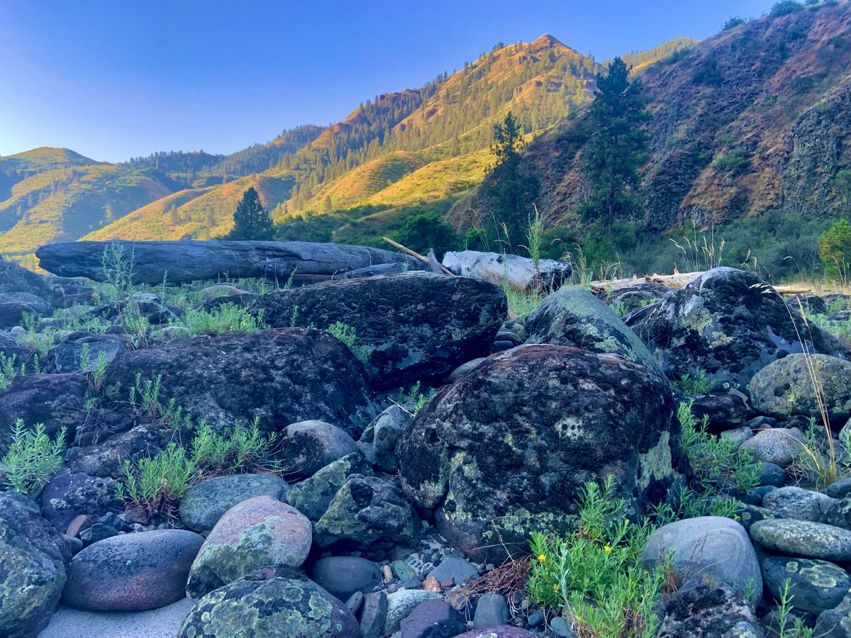 Day's unfolding #sunrise #Wednesday #wilderness #wildearth #naturephotography