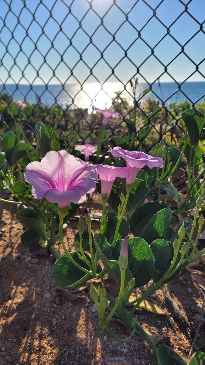 Fenced. Nature funds a way.