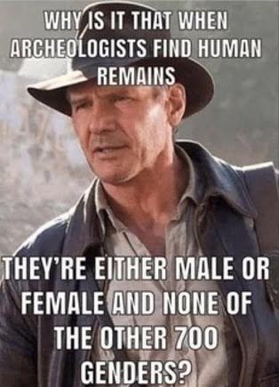 Strange isn't it? I've often wondered this myself. Is it true that the left created the new genders without telling us?