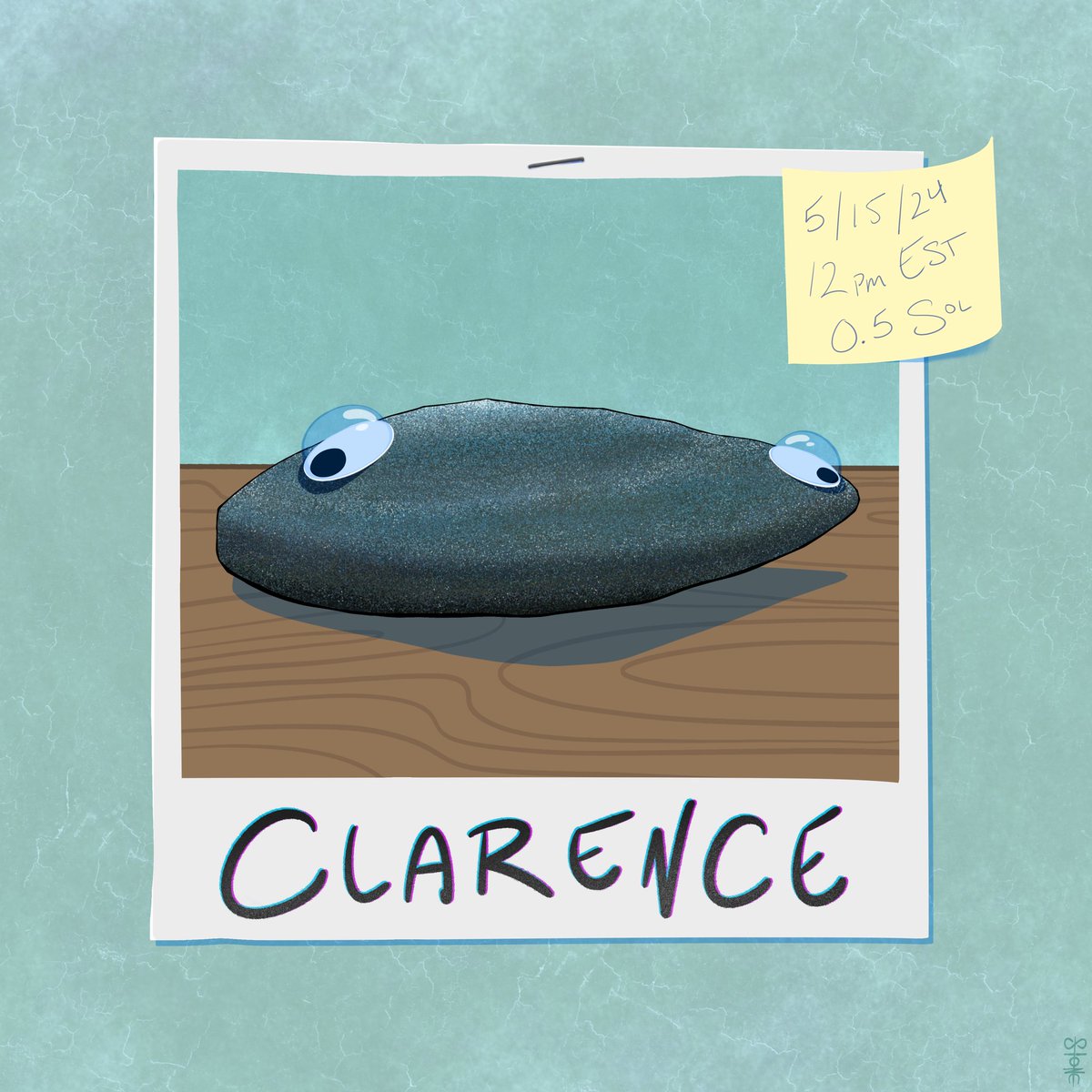 G M Clarence is up for adoption today! 5/15/24 @ 12:00pm EST 0.5 SOL start 3.00 Hours + 10min end phase PET ROCKS 4 SALE No. 1 ⛓️ ⤵️