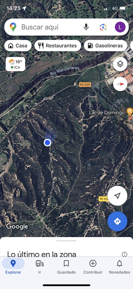 Llaves perdidas en El Pardo (Madrid) en un camino ancho de tierra. Adjunto ubicación, están sobre un bloque de piedra.