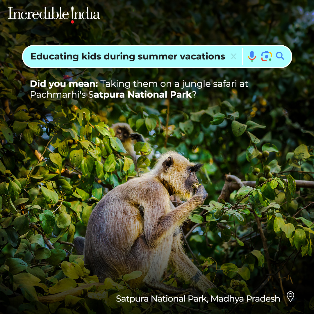 Did you search for family vacation destinations? India offers a perfect summer adventure for every family, fostering bonds, igniting curiosity, and leaving you with stories to tell for years to come. Strengthen your family ties while exploring diverse landscapes and fauna and