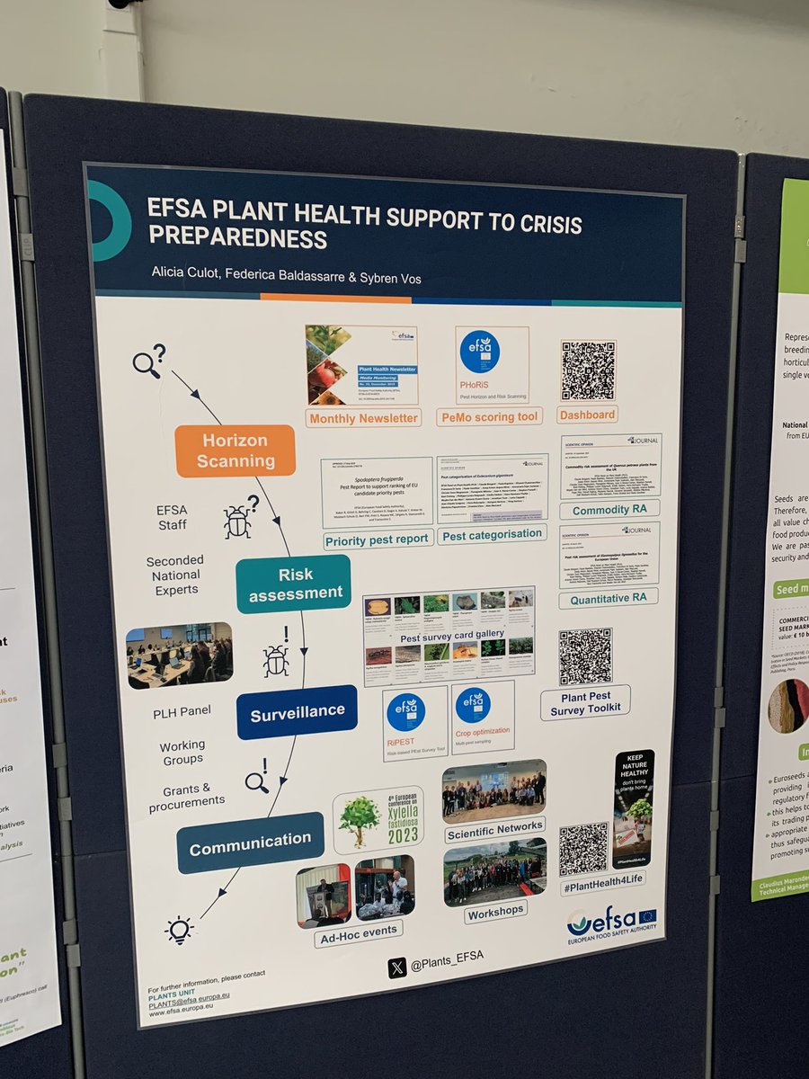 🐛 Would you like to know more how EFSA supports crisis preparedness in plant health?? Check out our poster at #PlantHealthWithoutBorders @EU2024BE
