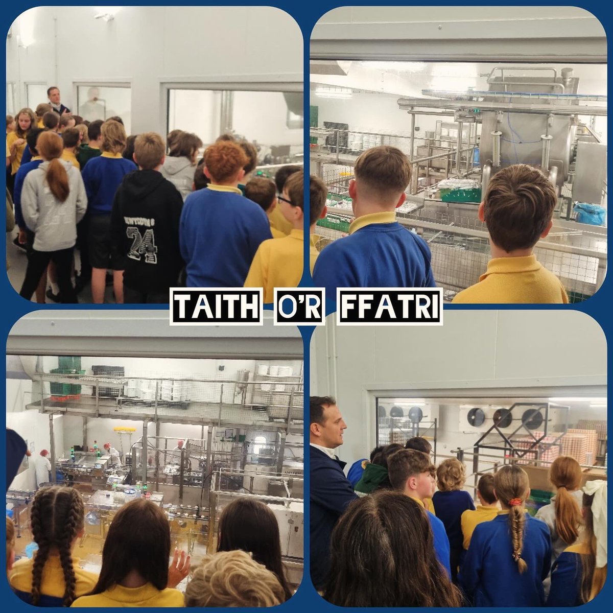 Llaeth y Llan tweet media