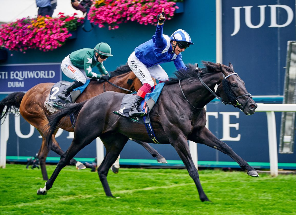 Can’t wait !!! John Gosden has finally entered him to debut. 

MUTAAWID (Frankel x Handassa) the brother to Juddmonte International and Prince of Wales hero MOSTAHDAF is likely going to make his racecourse debut next week at Nottingham