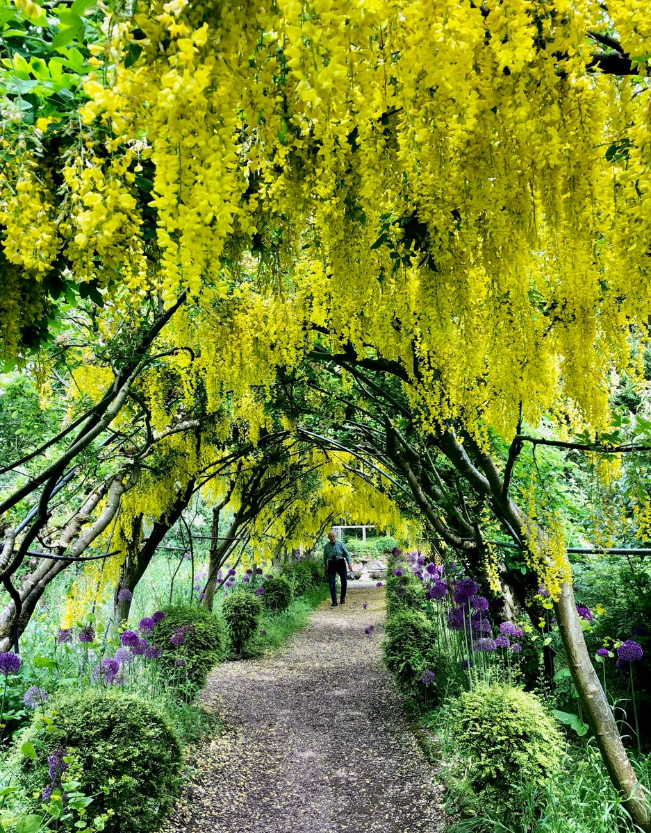 CRAFT FAIR THIS SUNDAY 19th MAY - here at the Garden with 45 stalls of artists and artisans. Admission to the Garden and Craft Fair £12 adult, £2 child aged 5-17, 0-4's and members free of charge. A chance to see the Garden at its most beautiful with the bonus of the Craft Fair.