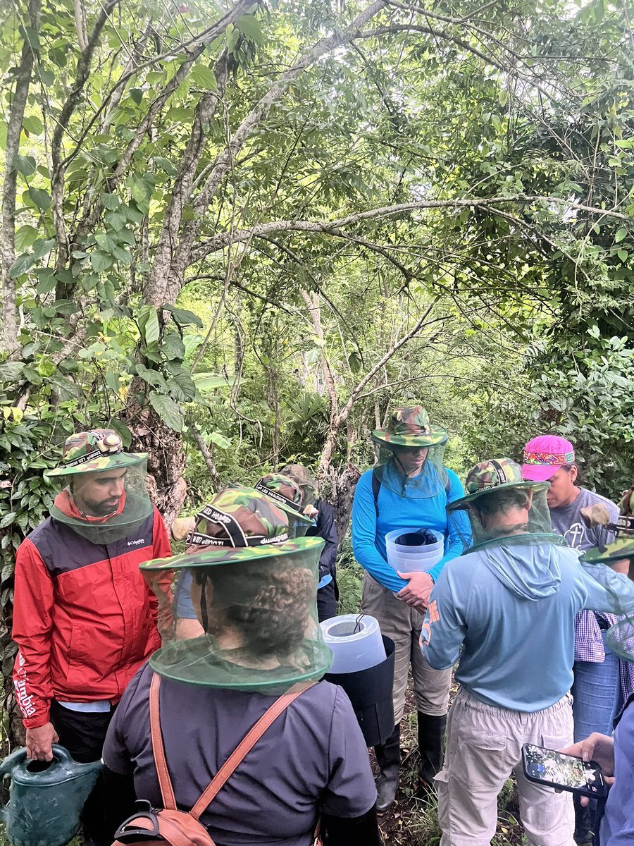 Un cumpleaños 🎂 diferente, en el bosque tropical haciendo #ciencia con amigos y en el #Darien #Panama 🇵🇦 #OneHealth #Epidemiology #virology #entomology