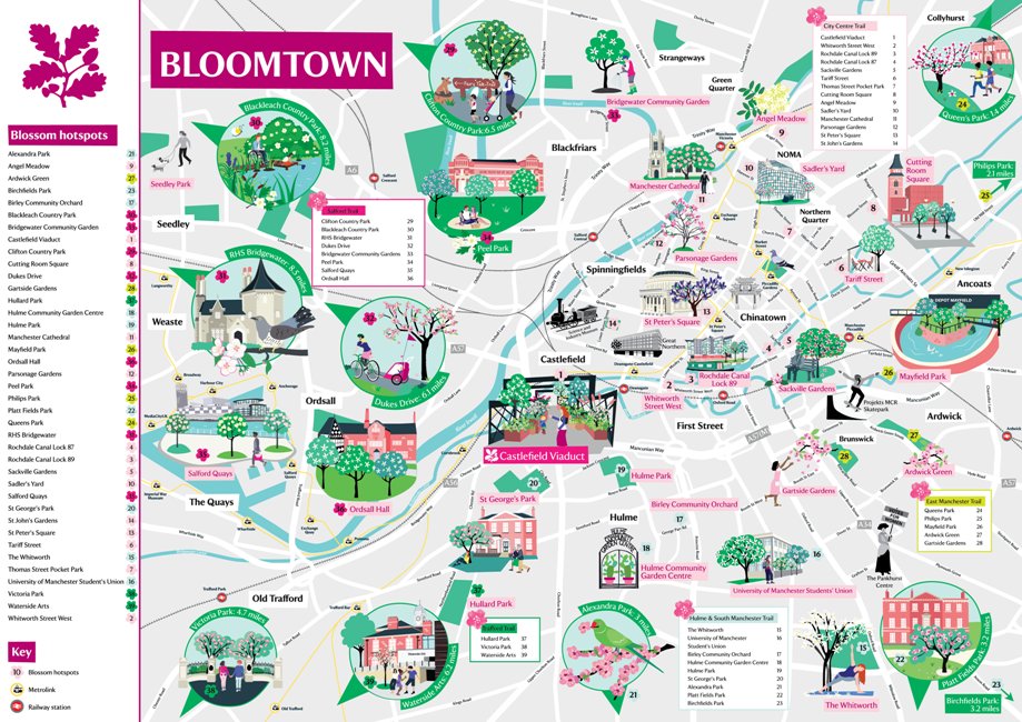 Lovely new project by AOI Member @bekcruddace for @nationaltrust and @NTCastleDuct, extending the Manchester Bloomtown map which she first designed in 2023 for the 'Festival of Blossom'. See more of Bek's works: 🌸 instagram.com/bekcruddace/ 🌸 bekcruddace.co.uk