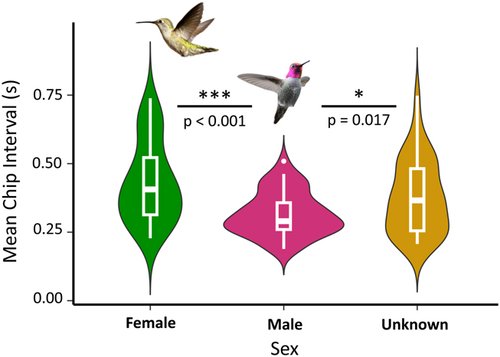 NEW PAPER: The production rate of chip notes differs significantly between male and female Anna's hummingbirds and dimorphic chip production may be especially important in territorial behavior. ➡️ vist.ly/y7y6 @SierraGlassman @AdiDomer @UCBerkeley #ornithology