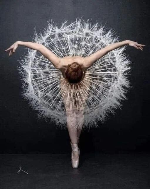 I saw this and just had to share it with you all 🩰🩰🩰 ⁦@Judy_Cockerton⁩ @CCChampagne @joanne_argent @Ecl99NY