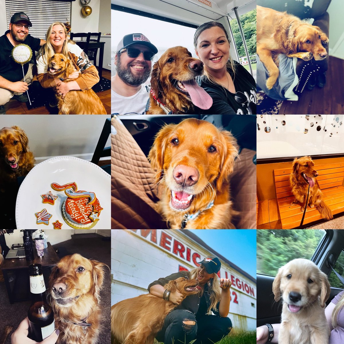 ashtaylormusic's tweet image. Happy Birthday Melody 🥳🎂🎶🐶✨🐾

#goldenretriever #happybirthday #dogbirthday #Puppylove #Dog #puppy
